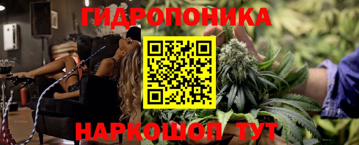 Шишки марихуана Amnesia Москва